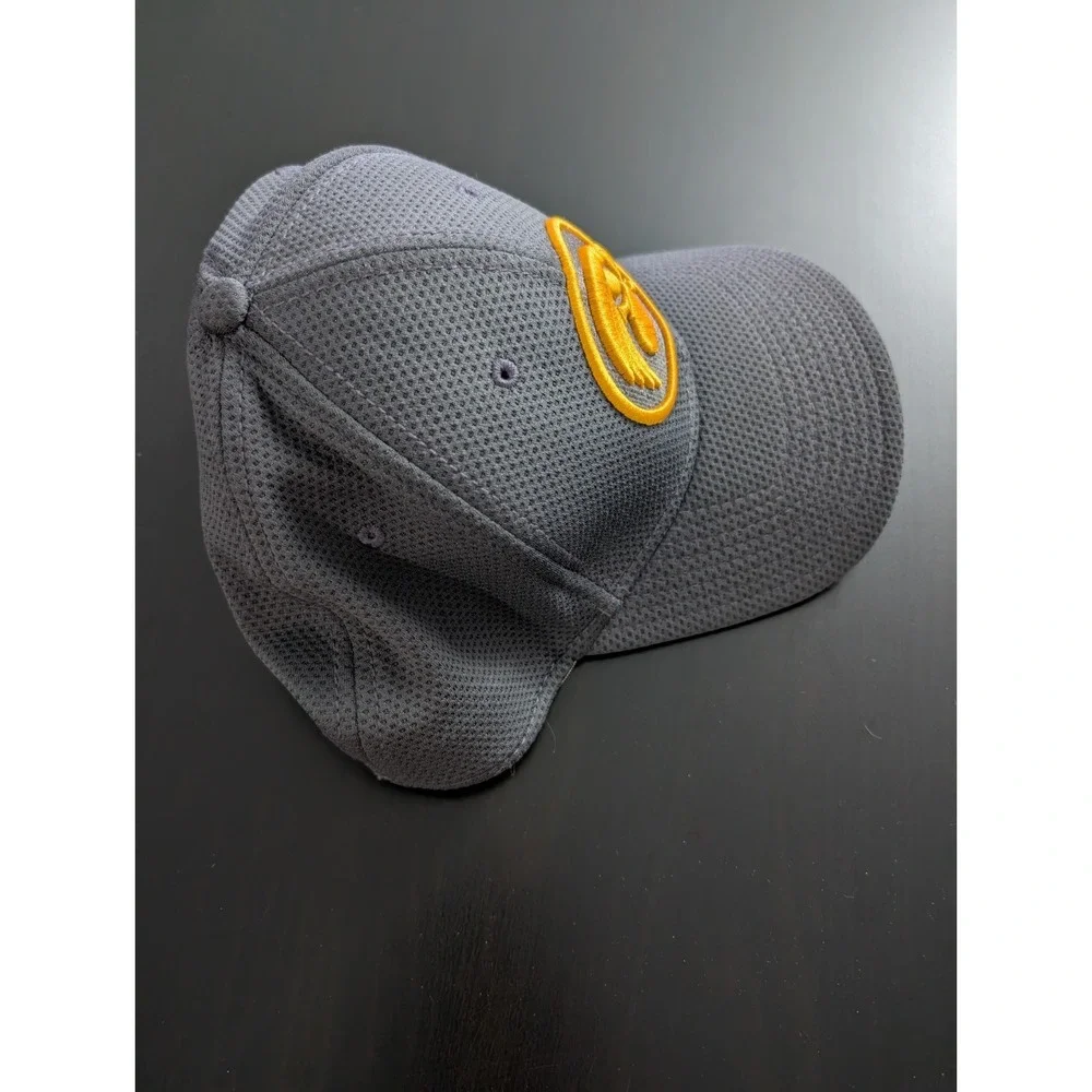 Iowa Hawkeyes New‎ Era 39Thirty Gray Flex Hat m-L